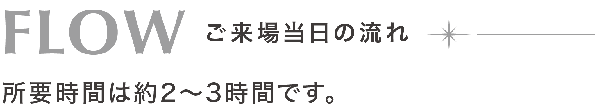 Flow ご来場当日の流れ